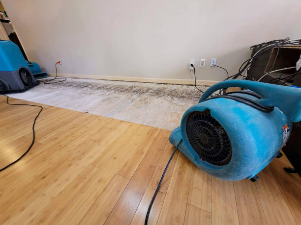 Professional Water Damage Repair technician working in Gardiner, ME